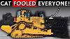 20 Crazy Facts Cat Doesn T Want You To Know About The D11 Dozer