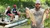 Pontoon Boat Pool Noodles And Catfish