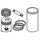 RE23160 Standard Piston Kit Fits John Deere Fits JD 4040 4230 6600 7700