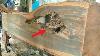 Surprising Discovery While Sawing A Teak Log